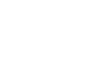 Evolution Mining logo