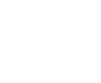 Norther star logo